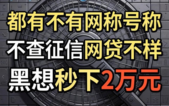 我试了所有号称不查征信的网贷,发现黑户想秒下2万元根本不是那样