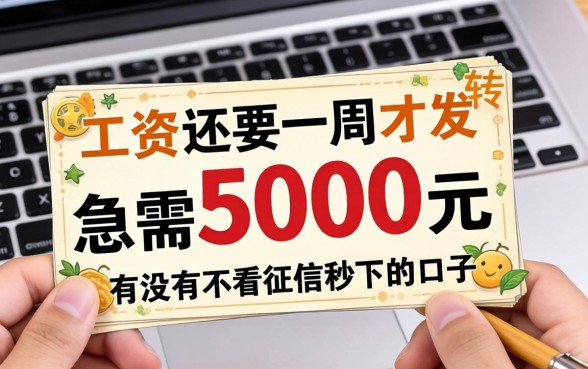 工资还要一周才发，急需5000元周转，有没有不看征信秒下的口子？