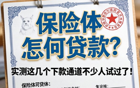 拿保险单怎么贷款?实测这几个下款通道不少人试过了