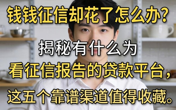 急需用钱征信却花了怎么办?揭秘有什么不看征信报告的贷款平台,这五个靠谱渠道值得收藏