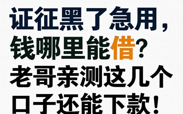 征信黑了急用钱哪里能借?老哥亲测这几个口子还能下款!