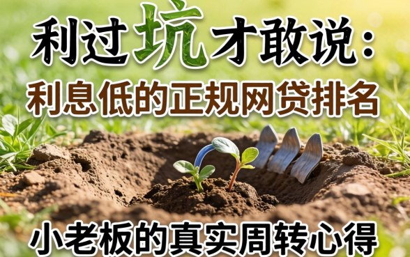 踩过坑才敢说:利息低的正规网贷排名,小老板的真实周转心得