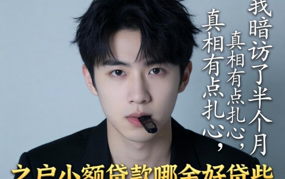 黑户小额贷款哪个好贷些呢？我暗访了半个月，真相有点扎心