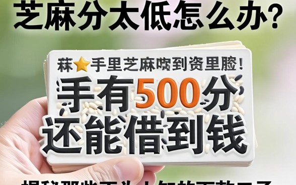 芝麻分太低怎么办?手里只有500分还能借到钱吗?揭秘那些不为人知的下款口子