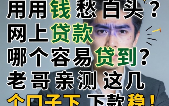 急用钱愁白头?网上贷款哪个容易贷到?老哥亲测这几个口子下款稳!