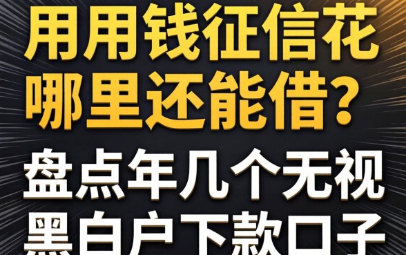 急用钱征信花哪里还能借？盘点2026年几个无视黑白户的下款口子