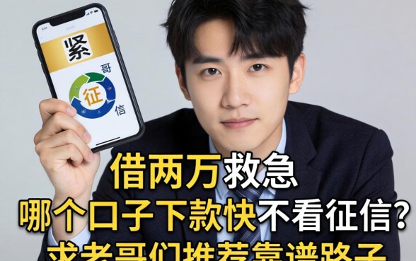 手头紧想借两万救急，哪个口子下款快不看征信？求老哥们推荐靠谱路子！