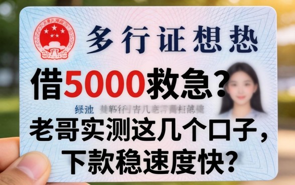 只有身份证想借5000救急？老哥实测这几个口子，下款稳速度快！