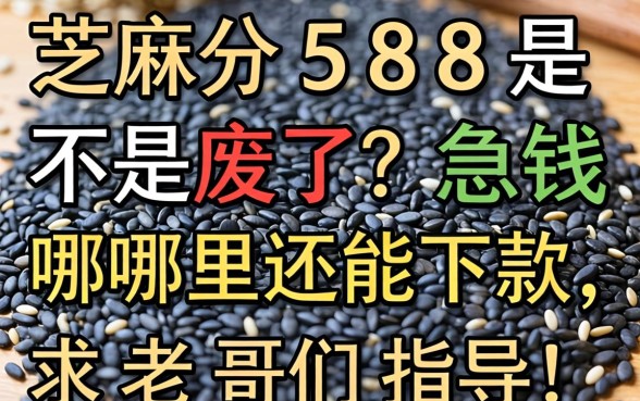 芝麻分588是不是废了？急用钱哪里还能下款，求老哥们指点！