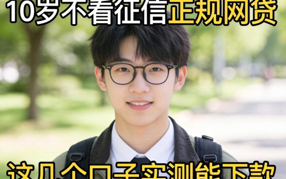 揭秘十九岁不看征信的正规网贷，这几个口子实测能下款