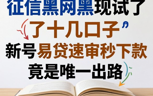 我征信黑网黑试了十几个口子，发现新号易贷速审秒下款竟是唯一出路