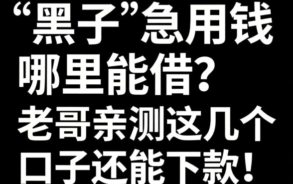 征信黑了急用钱哪里能借?老哥亲测这几个口子还能下款!