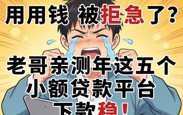 急用钱被拒急哭了？老哥亲测2026年这五个小额贷款平台，下款稳！