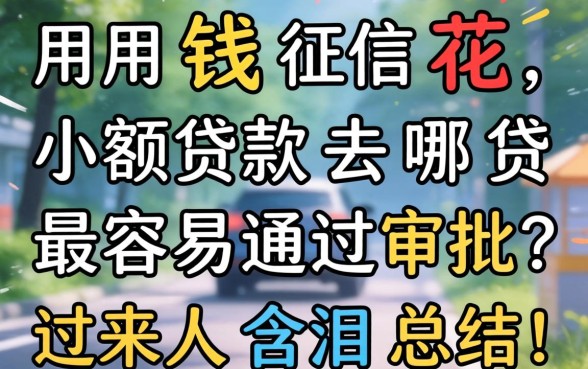 急用钱征信花，小额贷款去哪贷最容易通过审批？过来人含泪总结！