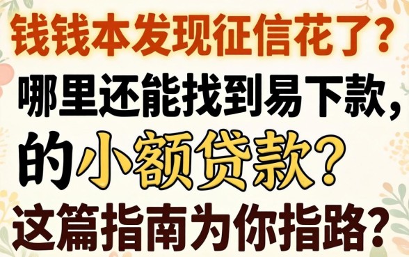 急需用钱却发现征信花了？哪里还能找到易下款的小额贷款？这篇指南为你指路