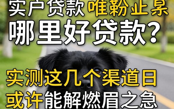 黑户贷款哪里好贷款?实测这几个渠道或许能解燃眉之急