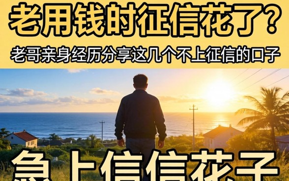 急用钱但征信花了？老哥亲身经历分享这几个不上征信的口子
