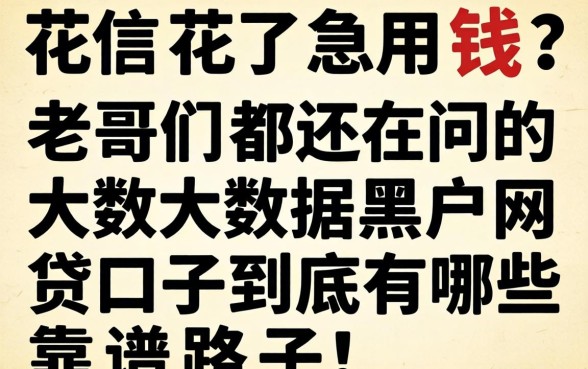 征信花了急用钱？老哥们都在问的大数据黑户网贷口子到底有哪些靠谱路子！