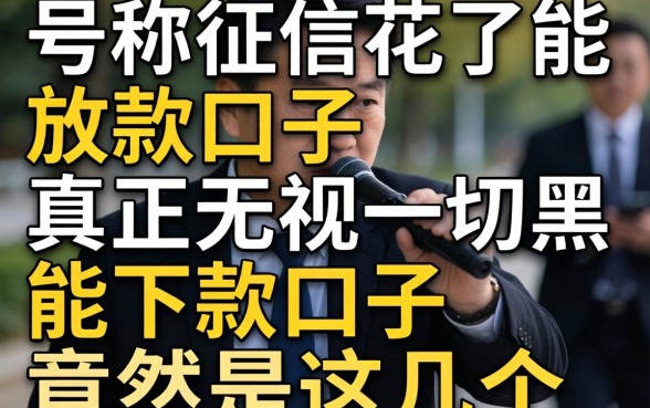 我试了那些号称征信花了能放款的口子，真正无视一切黑能下款口子竟然是这几个