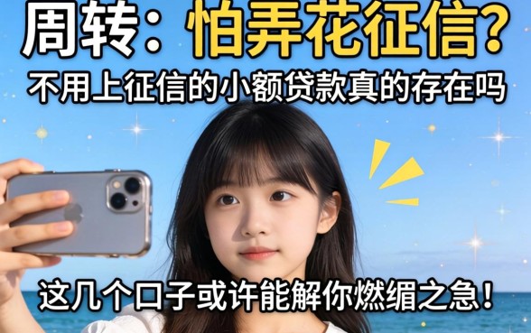 急需周转又怕弄花征信？不用上征信的小额贷款真的存在吗？这几个口子或许能解你燃眉之急！