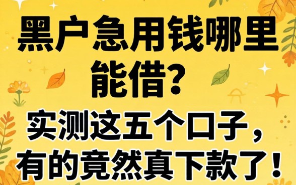 黑户急用钱哪里能借?实测这五个口子,有的竟然真下款了!