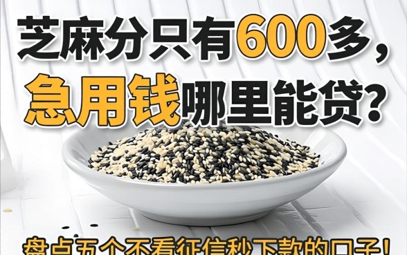 芝麻分只有600多,急用钱哪里能贷?盘点五个不看征信秒下款的口子!