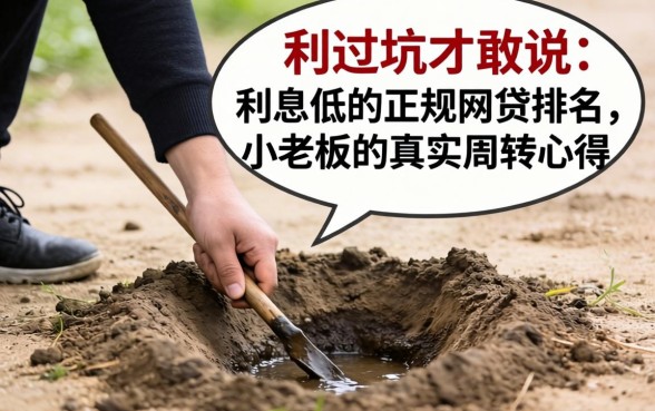 踩过坑才敢说:利息低的正规网贷排名,小老板的真实周转心得
