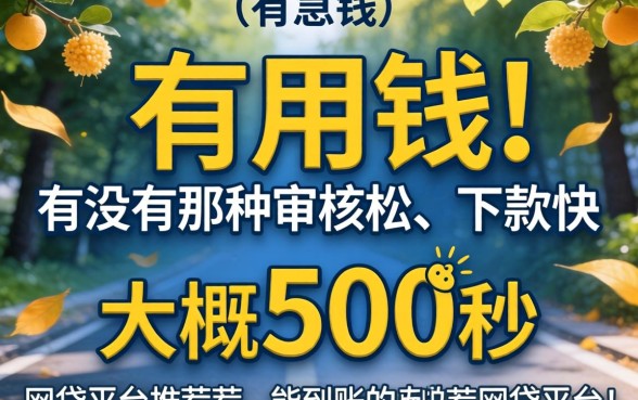急用钱！有没有那种审核松、下款快，大概500秒能到账的网贷平台推荐？