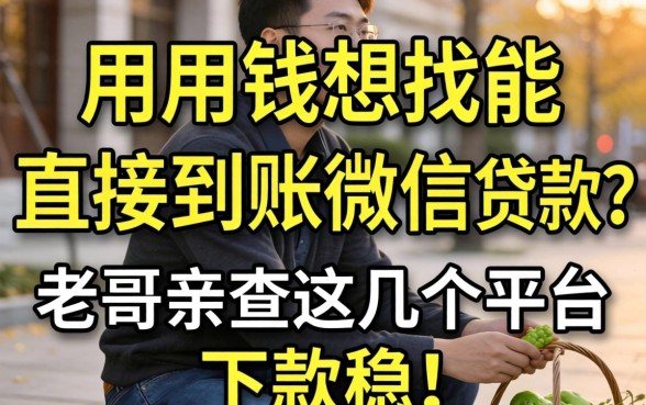 急用钱想找能直接到账微信的贷款？老哥亲测这几个平台，下款稳！