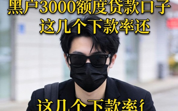 揭秘黑户3000额度贷款口子,这几个下款率还行