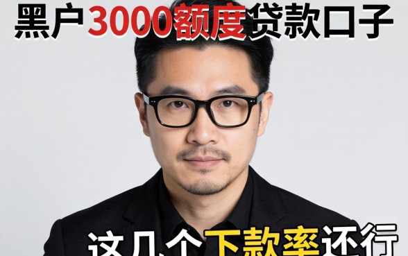 揭秘黑户3000额度贷款口子,这几个下款率还行