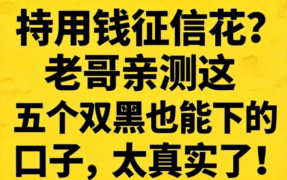 急用钱征信花？老哥亲测这五个双黑也能下的口子，太真实了！
