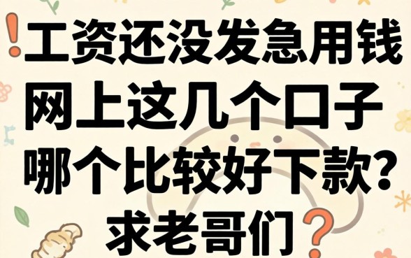 工资还没发急用钱，网上这几个口子哪个比较好下款？求老哥们推荐！