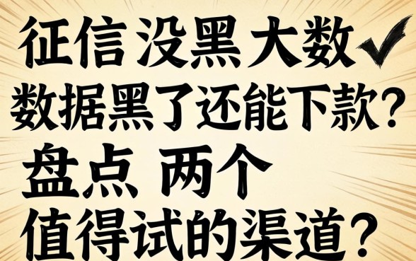 征信没黑大数据黑了还能下款?盘点两个值得试的渠道