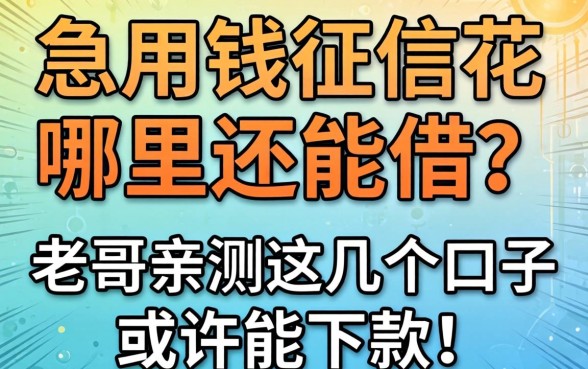 急用钱征信花哪里还能借？老哥亲测这几个口子或许能下款！