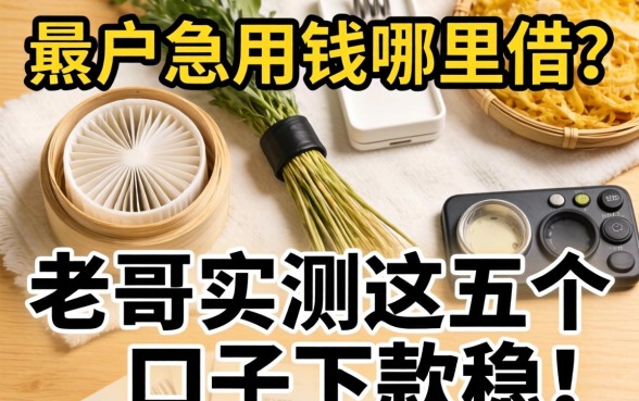 黑户急用钱哪里借?老哥实测这五个口子下款稳!
