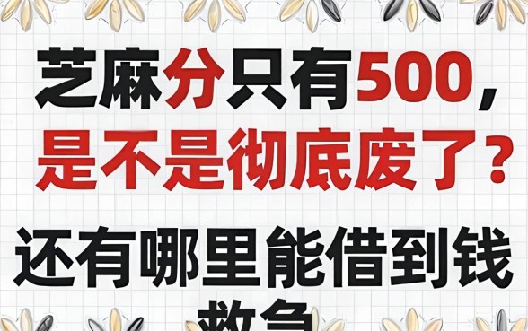 芝麻分只有500，是不是彻底废了？还有哪里能借到钱救急？