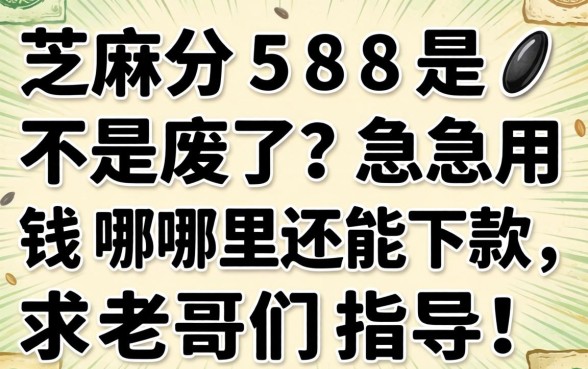 芝麻分588是不是废了？急用钱哪里还能下款，求老哥们指点！