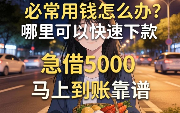 深夜急需用钱怎么办?哪里可以快速下款?2026急借5000马上到账真的靠谱吗?