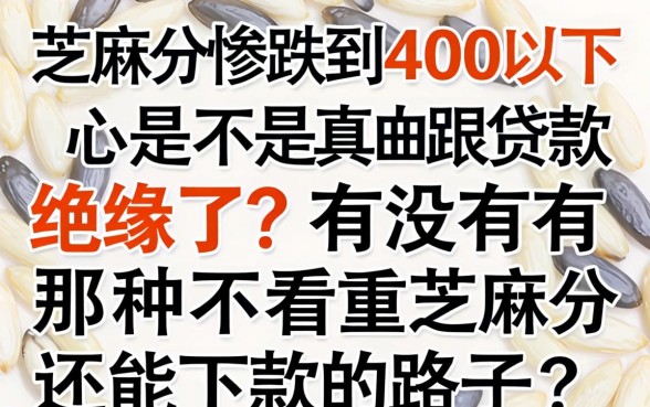 芝麻分惨跌到400以下，是不是真的跟贷款绝缘了？有没有那种不看重芝麻分还能下款的路子？