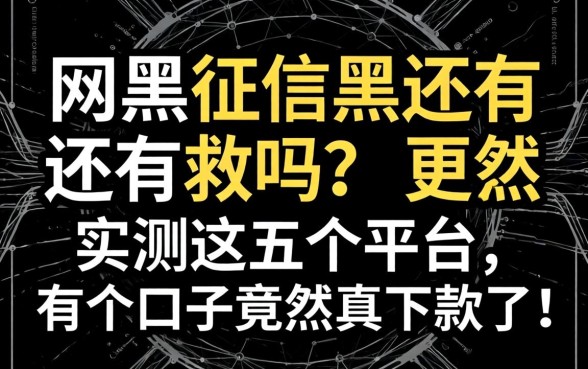 网黑征信黑还有救吗？实测这五个平台，有个口子竟然真下款了！