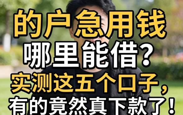 黑户急用钱哪里能借?实测这五个口子,有的竟然真下款了!
