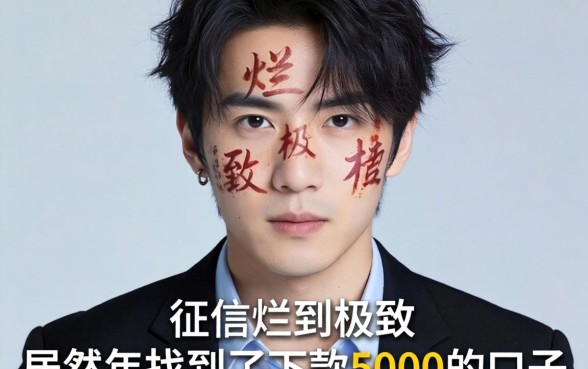 我征信烂到极致，居然在2026年找到了下款5000的口子