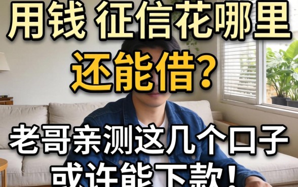 急用钱征信花哪里还能借？老哥亲测这几个口子或许能下款！