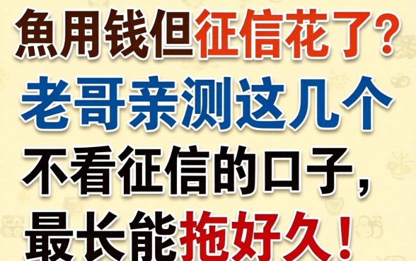 急用钱但征信花了？老哥亲测这几个不看征信的口子，最长能拖好久！