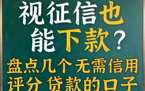无视征信也能下款？盘点几个无需信用评分贷款的口子