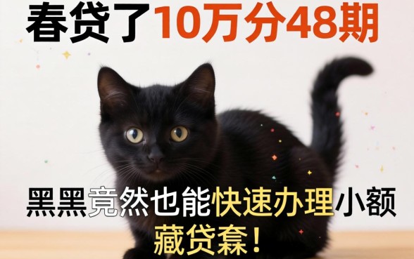 我贷了10万分48期，黑户竟然也能快速办理小额贷款，这背后藏着什么猫腻