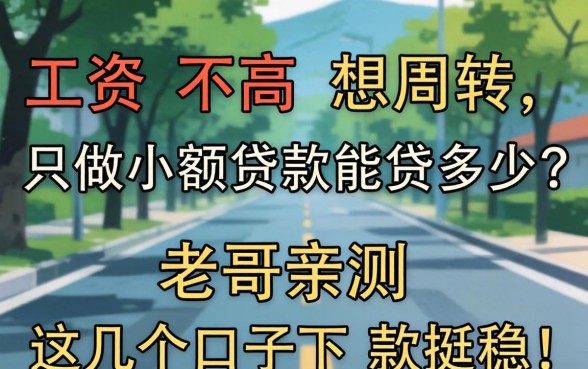 工资不高想周转，只做小额贷款能贷多少？老哥亲测这几个口子下款挺稳！