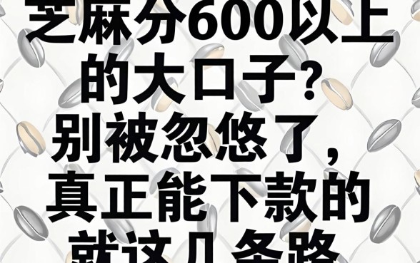 芝麻分600以上的大口子？别被忽悠了，真正能下款的就这几条路
