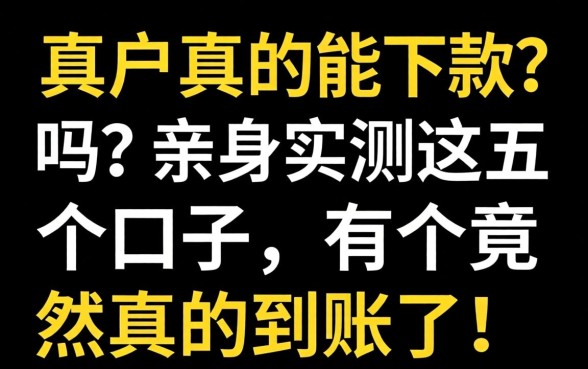 黑户真的能下款吗？亲身实测这五个口子，有个竟然真的到账了！